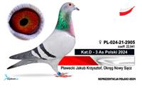 Pokaż zdjęcie w powiększeniu Gołębie zdjęcie