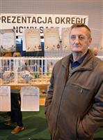 Pokaż zdjęcie w powiększeniu Gołębie zdjęcie