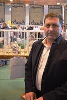 Pokaż zdjęcie w powiększeniu Gołębie zdjęcie
