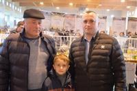 Pokaż zdjęcie w powiększeniu Gołębie zdjęcie