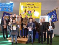 Pokaż zdjęcie w powiększeniu Gołębie zdjęcie