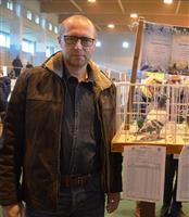 Pokaż zdjęcie w powiększeniu Gołębie zdjęcie