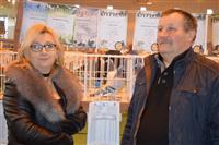 Pokaż zdjęcie w powiększeniu Gołębie zdjęcie